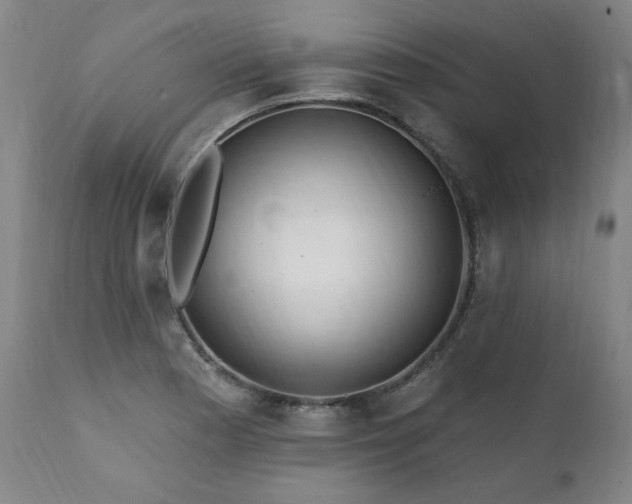 X0000112061177200908041207
