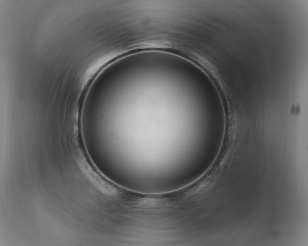 X0000112061179200908041207