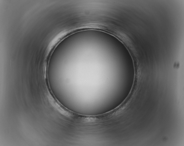 X0000112061180200908041207