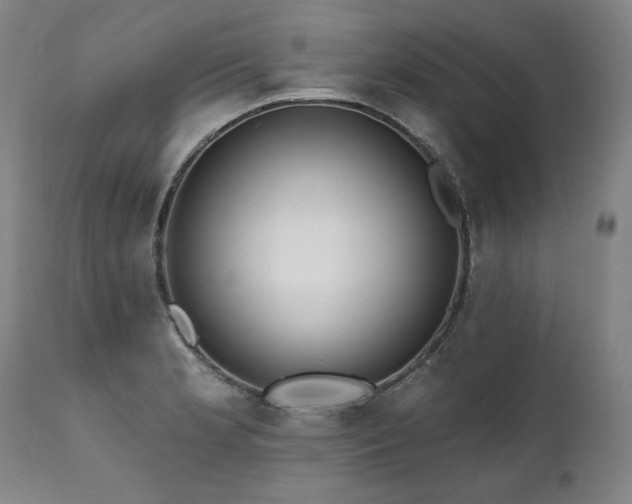 X0000112061181200908041207