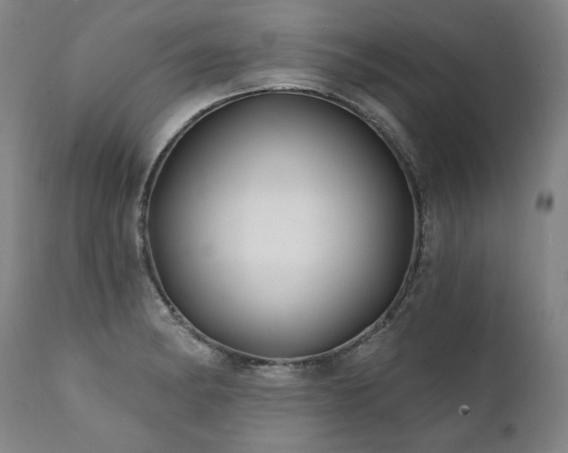 X0000112061182200908041207