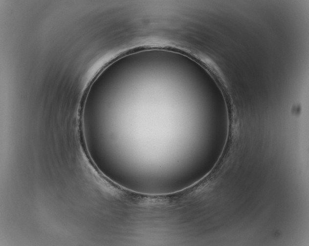 X0000112061183200908041207