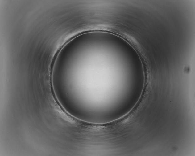 X0000112061184200908041207