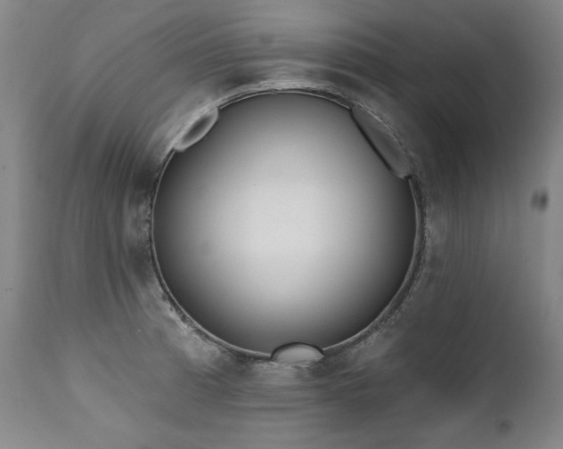 X0000112061185200908041207