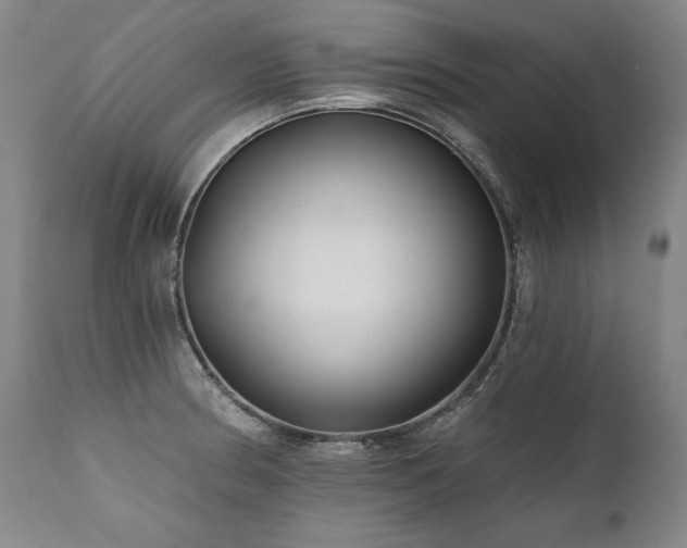 X0000112061186200908041207