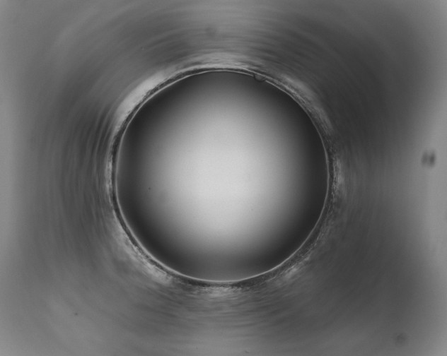 X0000112061188200908041207