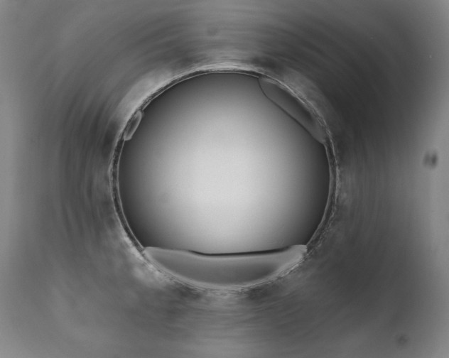 X0000112061189200908041207