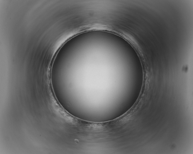 X0000112061190200908041207