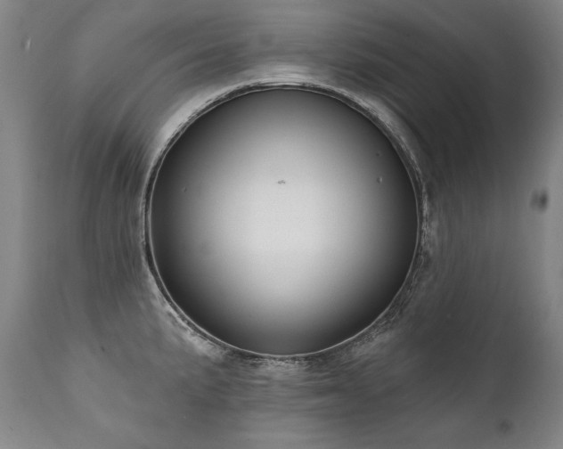 X0000112061191200908041207