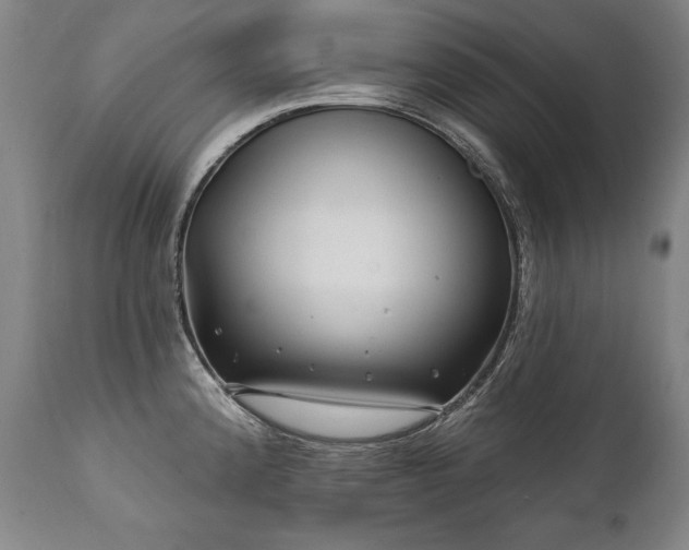 X0000112061192200908041207