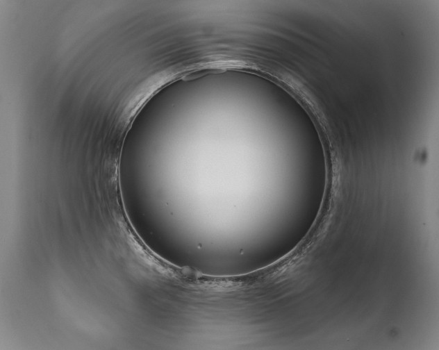 X0000112061193200908041207