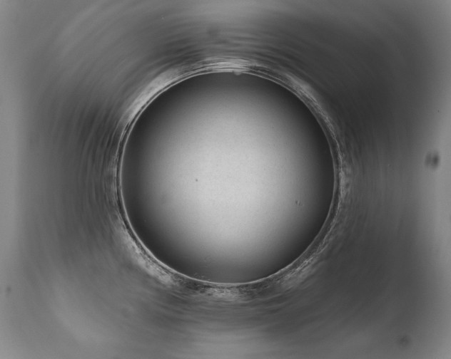 X0000112061194200908041207