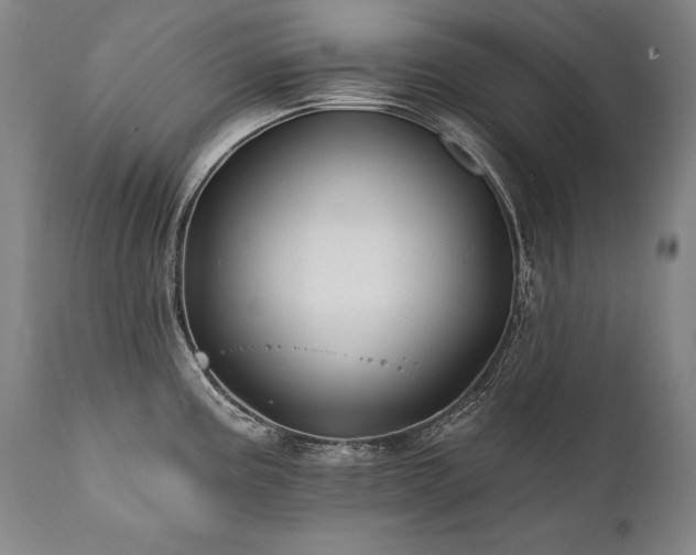 X0000112061195200908041207