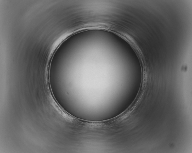 X0000112061196200908041207