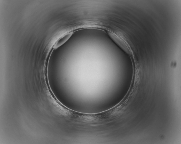 X0000112061197200908041207