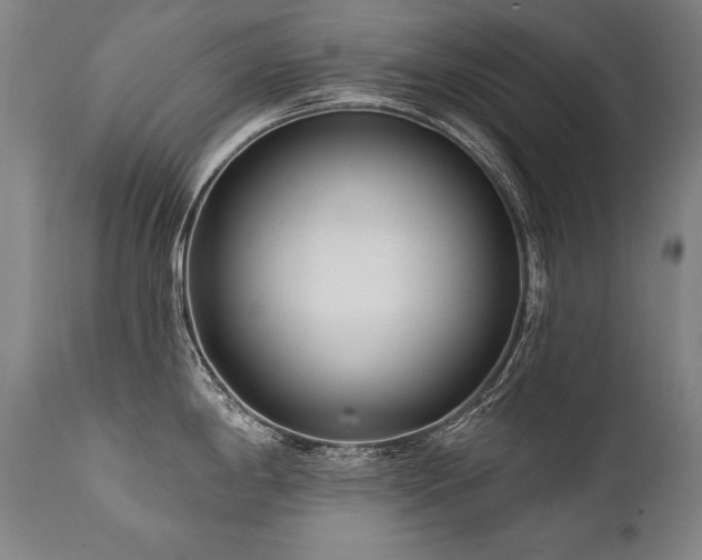 X0000112061198200908041207