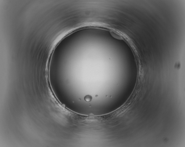 X0000112061199200908041207