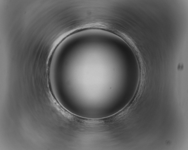 X0000112061200200908041207