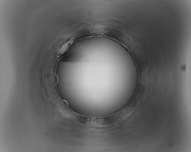 X0000112061201200908041206