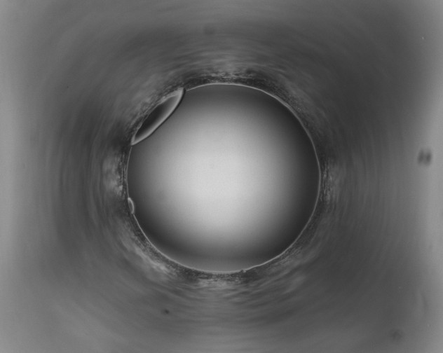 X0000112061202200908041206