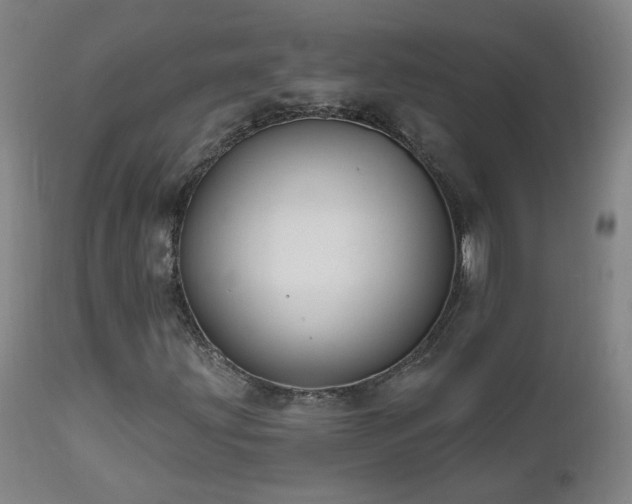 X0000112061203200908041206