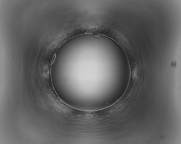 X0000112061204200908041206