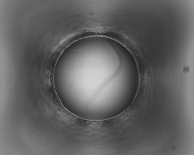 X0000112061205200908041206