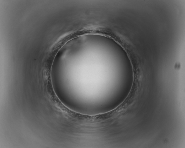 X0000112061206200908041206