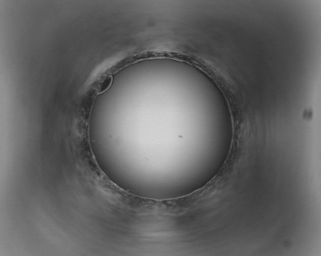 X0000112061207200908041206