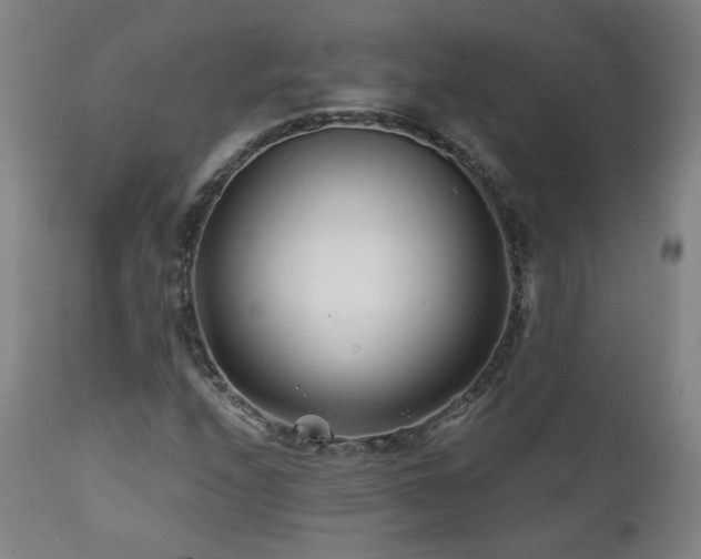 X0000112061208200908041206