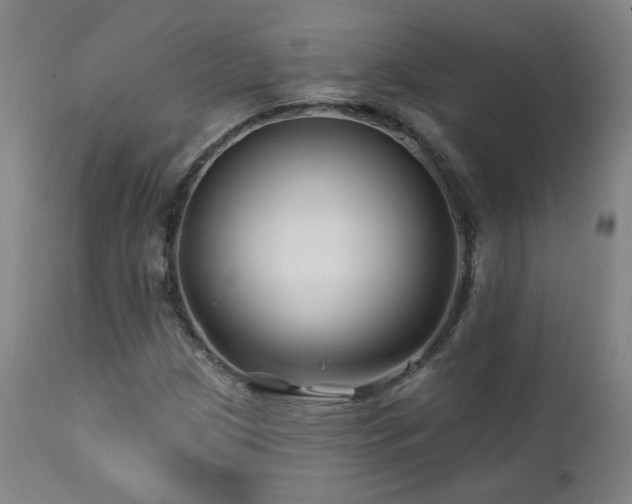 X0000112061209200908041206