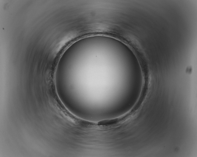 X0000112061210200908041206