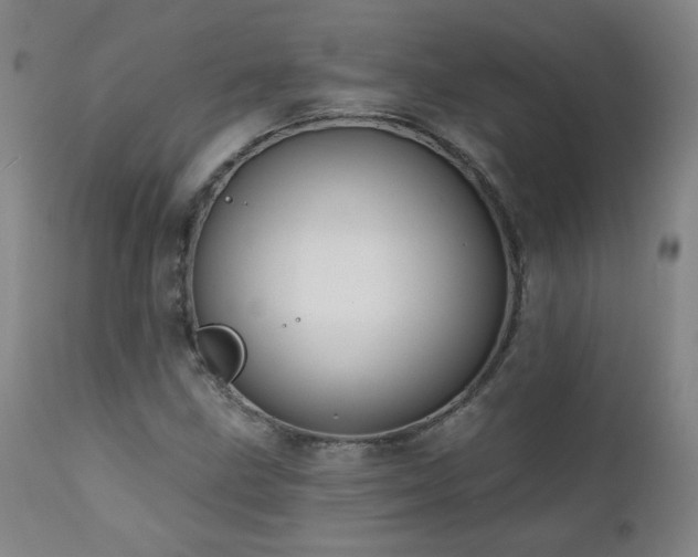 X0000112061211200908041206