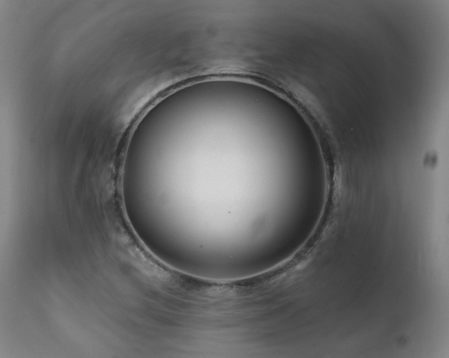 X0000112061212200908041206