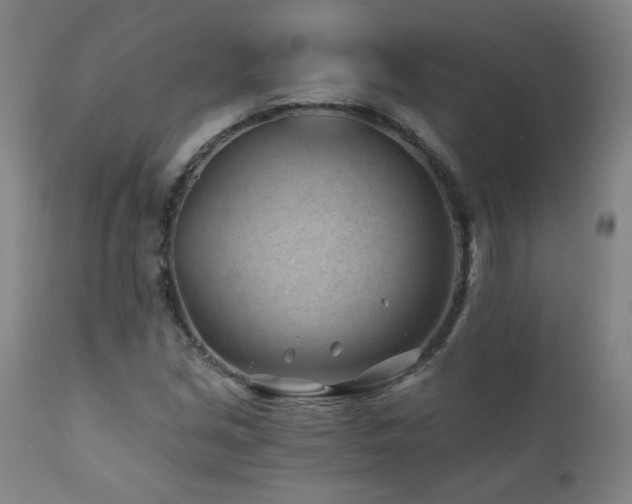 X0000112061213200908041206
