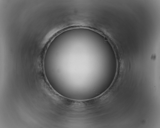 X0000112061215200908041206