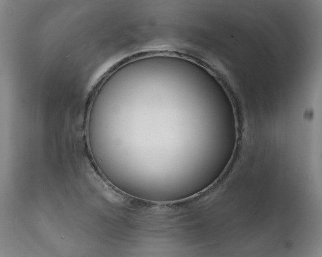 X0000112061216200908041206