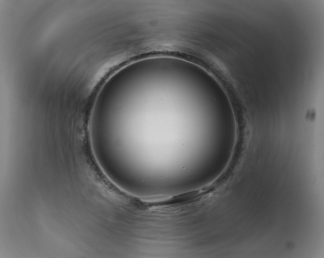 X0000112061218200908041206