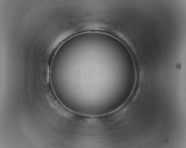 X0000112061219200908041206