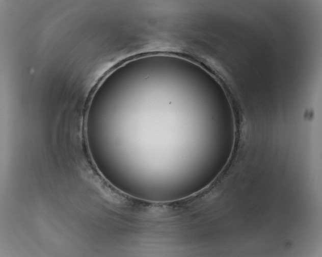 X0000112061220200908041206