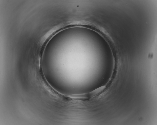 X0000112061221200908041206