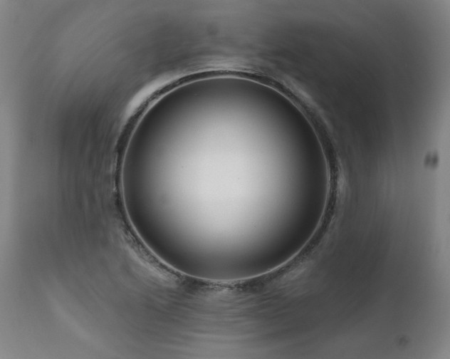 X0000112061222200908041206