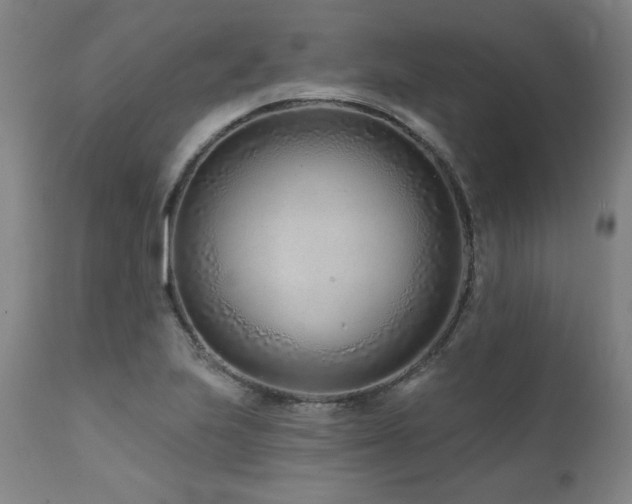 X0000112061223200908041206