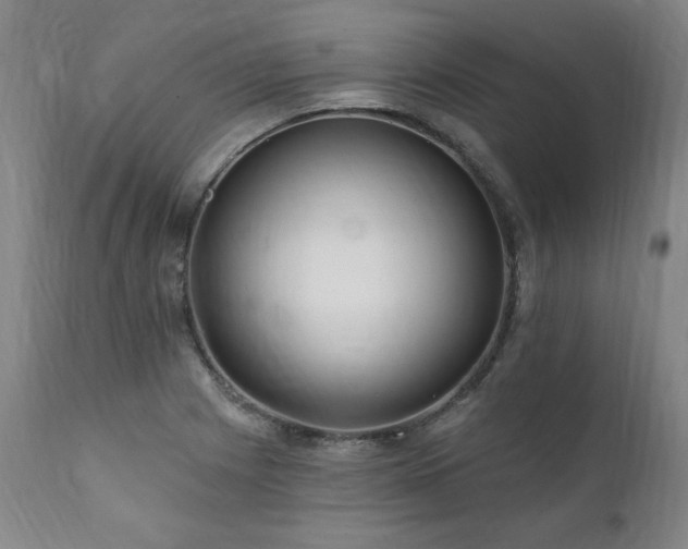 X0000112061225200908041207