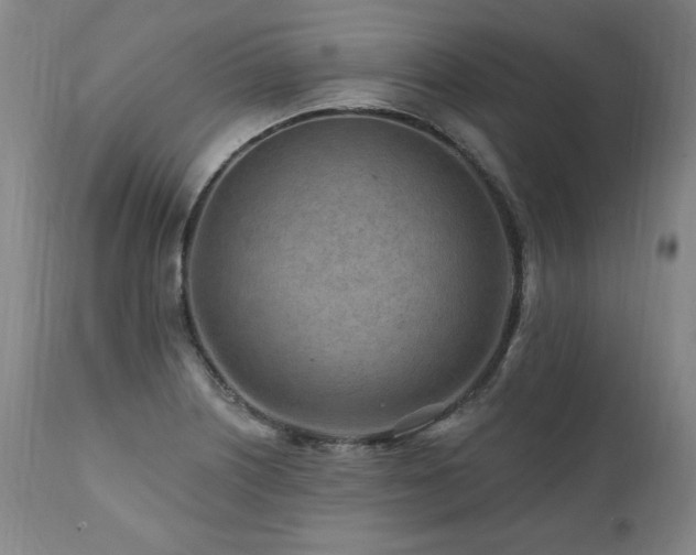 X0000112061226200908041207