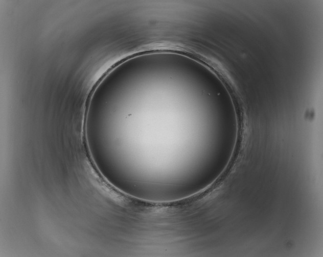X0000112061228200908041207