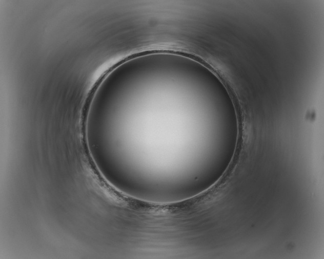 X0000112061230200908041207