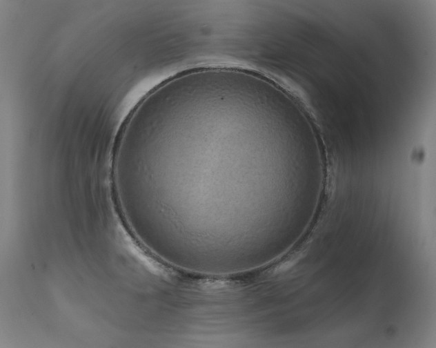 X0000112061231200908041207