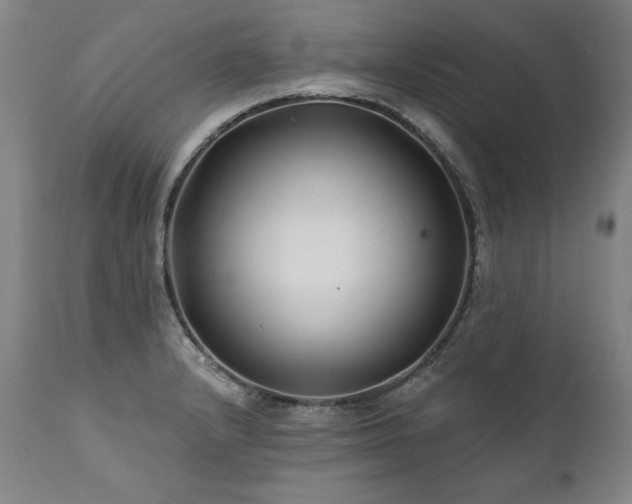 X0000112061232200908041207