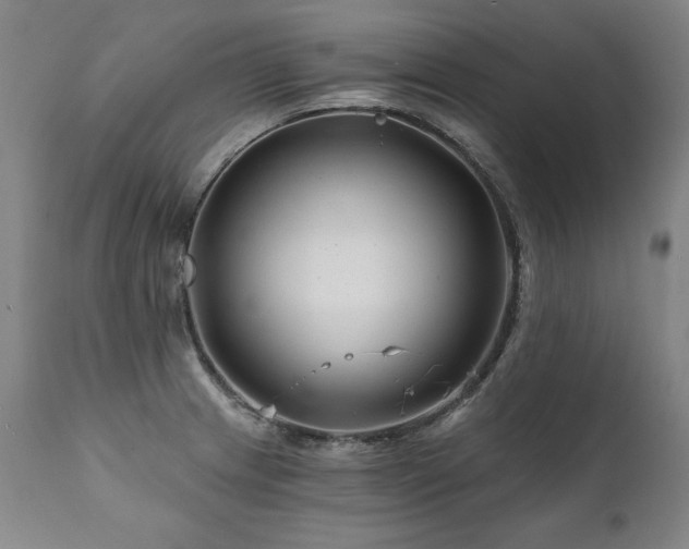 X0000112061233200908041207